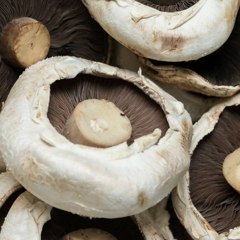 Flat Mushrooms 1.81kg
